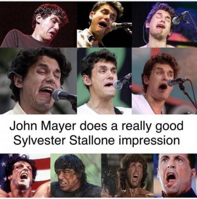 eally-good-Sylvester-Stallone-impression-1014x1024.jpg