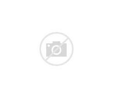 DMQz63Mwyd4HlgIcZzPgAAAA&w=220&h=192&c=7&o=5&pid=1.jpg