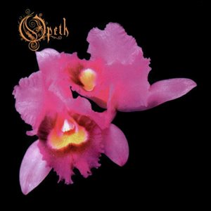 Opeth_Orchid.jpg