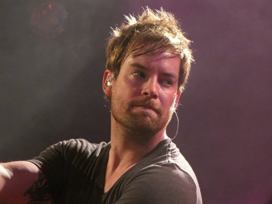 David_Cook_Toads.jpg