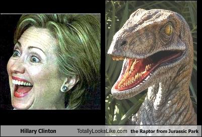 n-totally-looks-like-the-raptor-from-jurassic-park.jpg