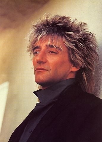 rod-stewart-do-ya-think-im-sexy-344x480.jpg