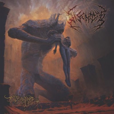 Disentomb-TheDecayingLight01-500x500.jpg