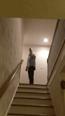 3e17e7c8848e2c61a1ce50ebd7f79d5c.gif