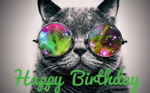 1510127426_cat-glasses-happy-birthday.gif
