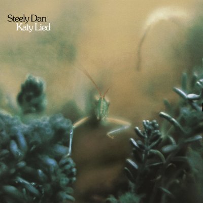 katy-lied-55c35c4a6b403.jpg