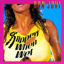 220px-SlipperyWhenWet.jpg