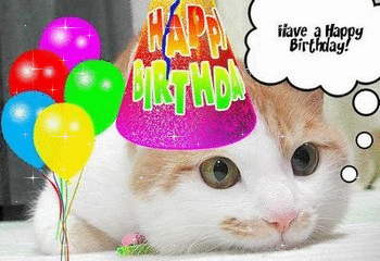 A Cat B.gif