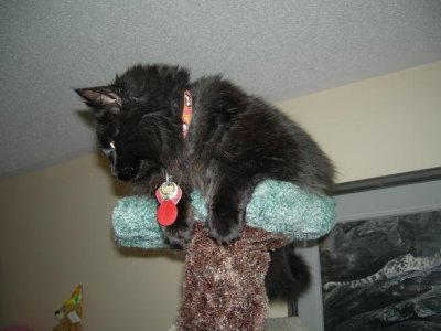 Deuce Tower.jpg