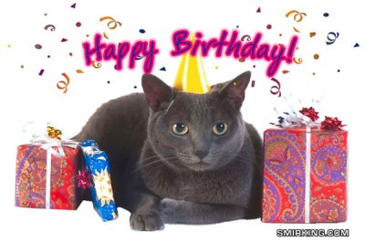 happybirthdaycat.jpg