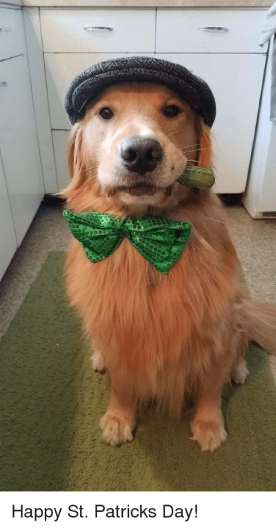happy-st-patricks-day-31635605.png