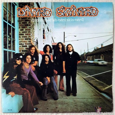nyrd_pronounced_lehnerd_skinnerd_vinyl_front_cover.jpg