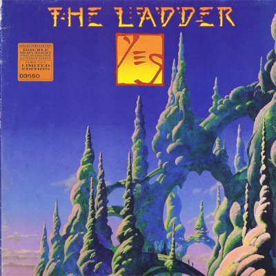 the ladder.jpg