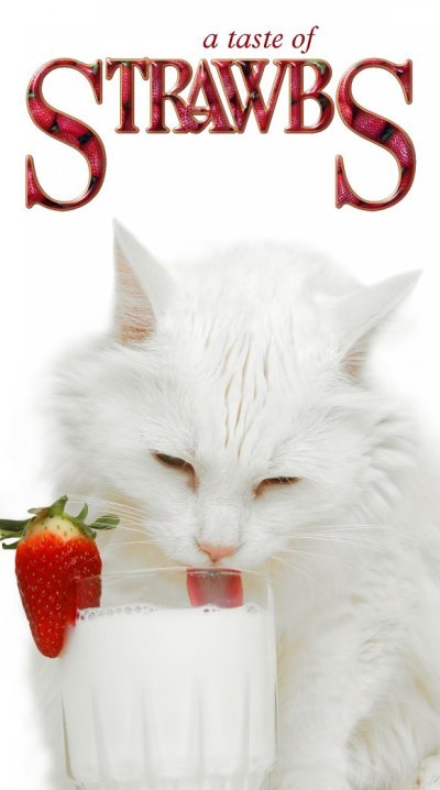A Taste of Strawbs.jpg