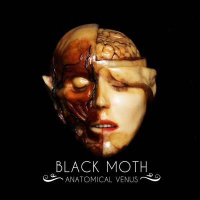 anatomical venus.jpg