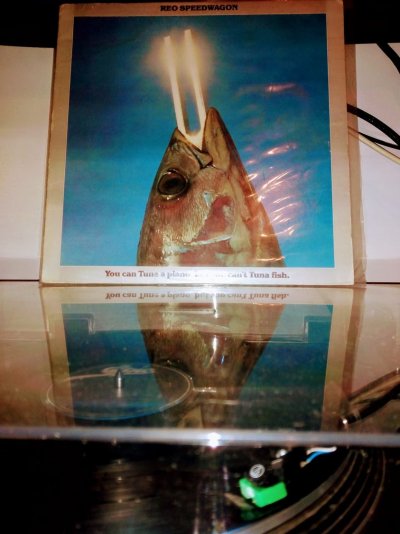 nc_ohc=5vHCS8JFlpcAX8ThJLm&_nc_ht=scontent.fyaw1-1.jpg