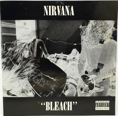 bleach.jpg