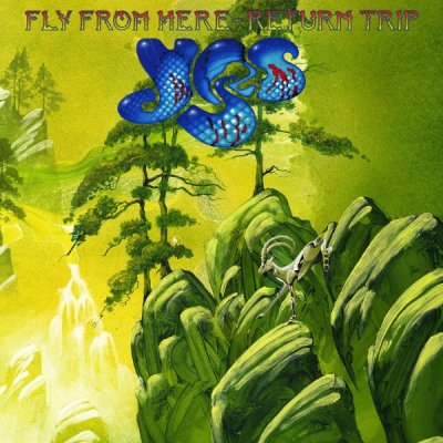 yes-fly.jpg