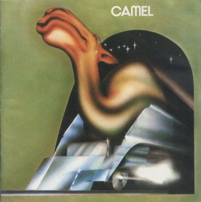 camel.jpg