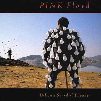 delicate sound of thunder.jpg