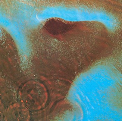 meddle.jpg