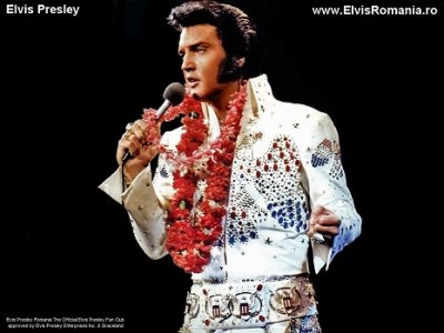 Elvis-elvis-presley-10252942-1024-768.jpg