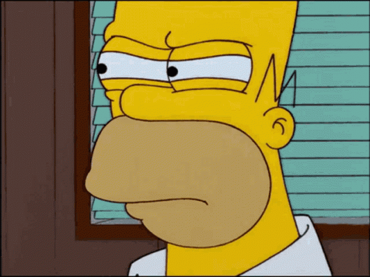 HOMER2.gif