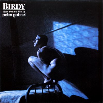birdy.jpg