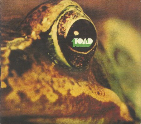 toad.jpg