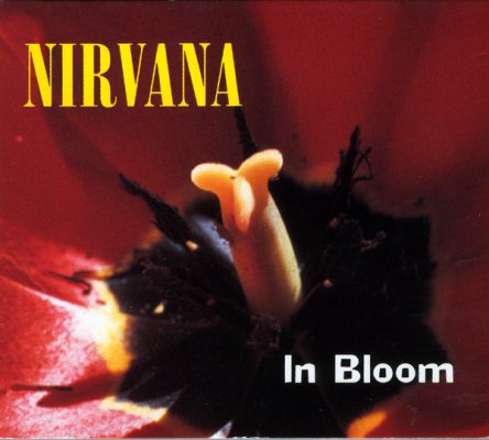 in bloom.jpg