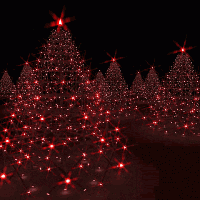 c1593e3c37be8b8c.gif