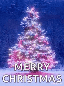 1735026202009.gif