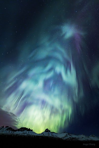 AuroraTree.jpg