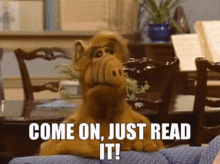 1760851531372.gif 1760851531372.gif