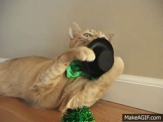1773778421454.gif