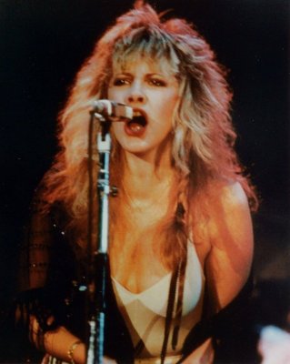 stevie nicks.jpg