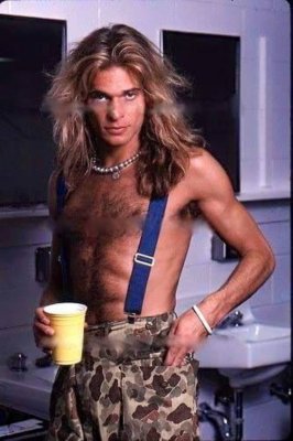 davidleeroth.jpg