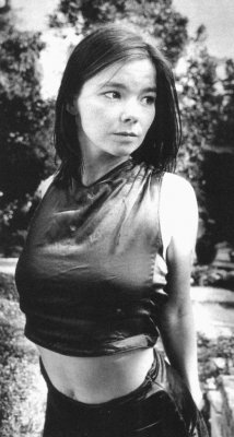 BJORK3.jpg