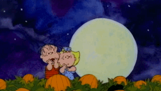 giphy (2).gif