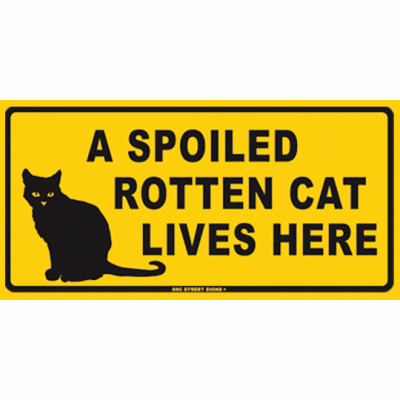 spoiledcat.gif