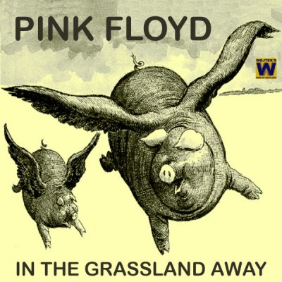 Pink Floyd In The Grassland Away.jpg