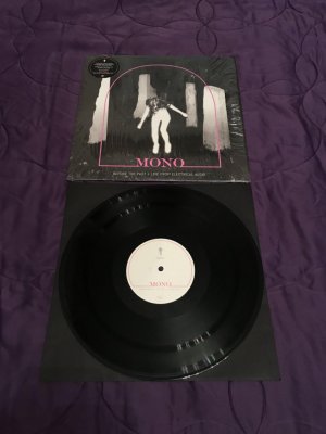 Mono2.jpg