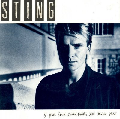 1985-Sting.jpg