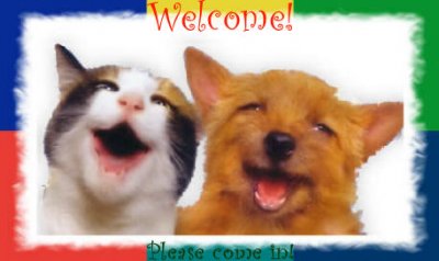 LaughingCatandDog.jpg