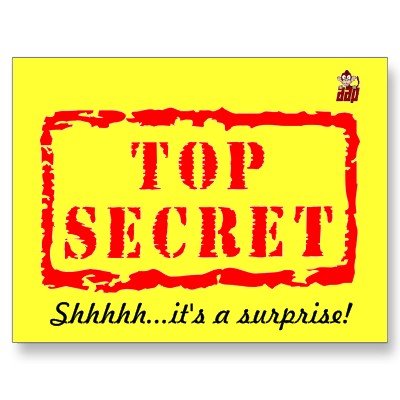 top_secret_birthday_surprise_party_invitation_postcard-p239794702085527299envli_400.jpg