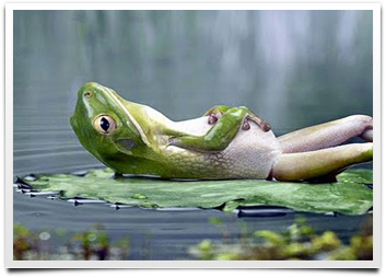 lazy-weekend.jpg