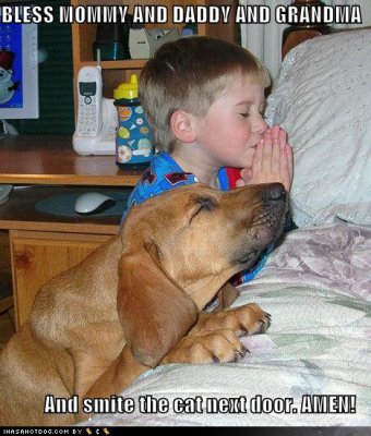 a.aaa-funny-dog-pray-unique.jpg
