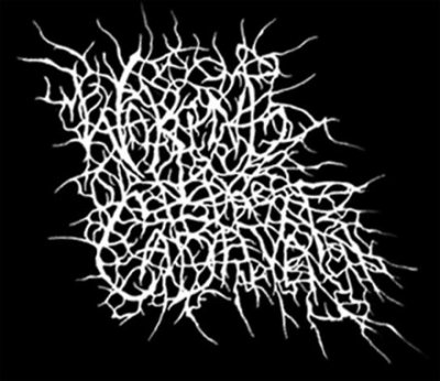 1625544_wakingthecadaver-logo.jpg