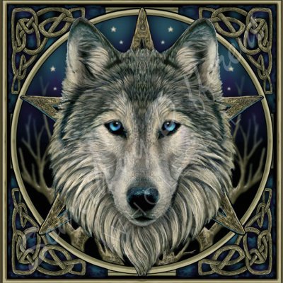 LP%20Wolf%20card.jpg