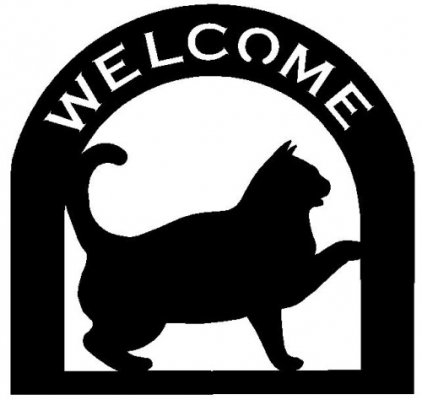 welcome%20cat.jpg